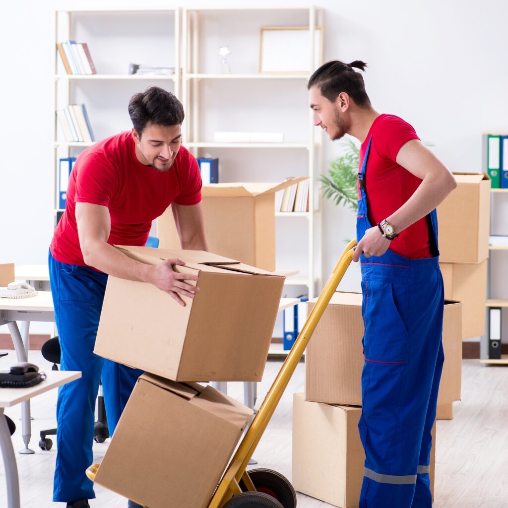 Emergency removals in leicester